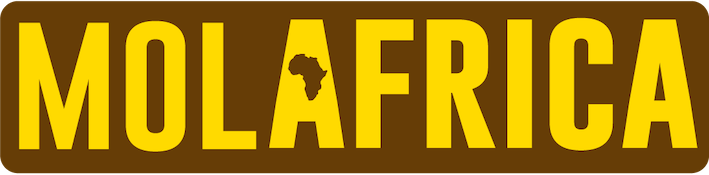 Logo Molafrica